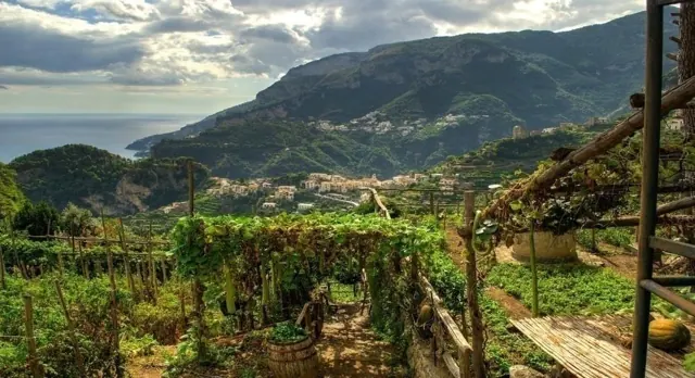 The terraced organic garden with a view of Ravello